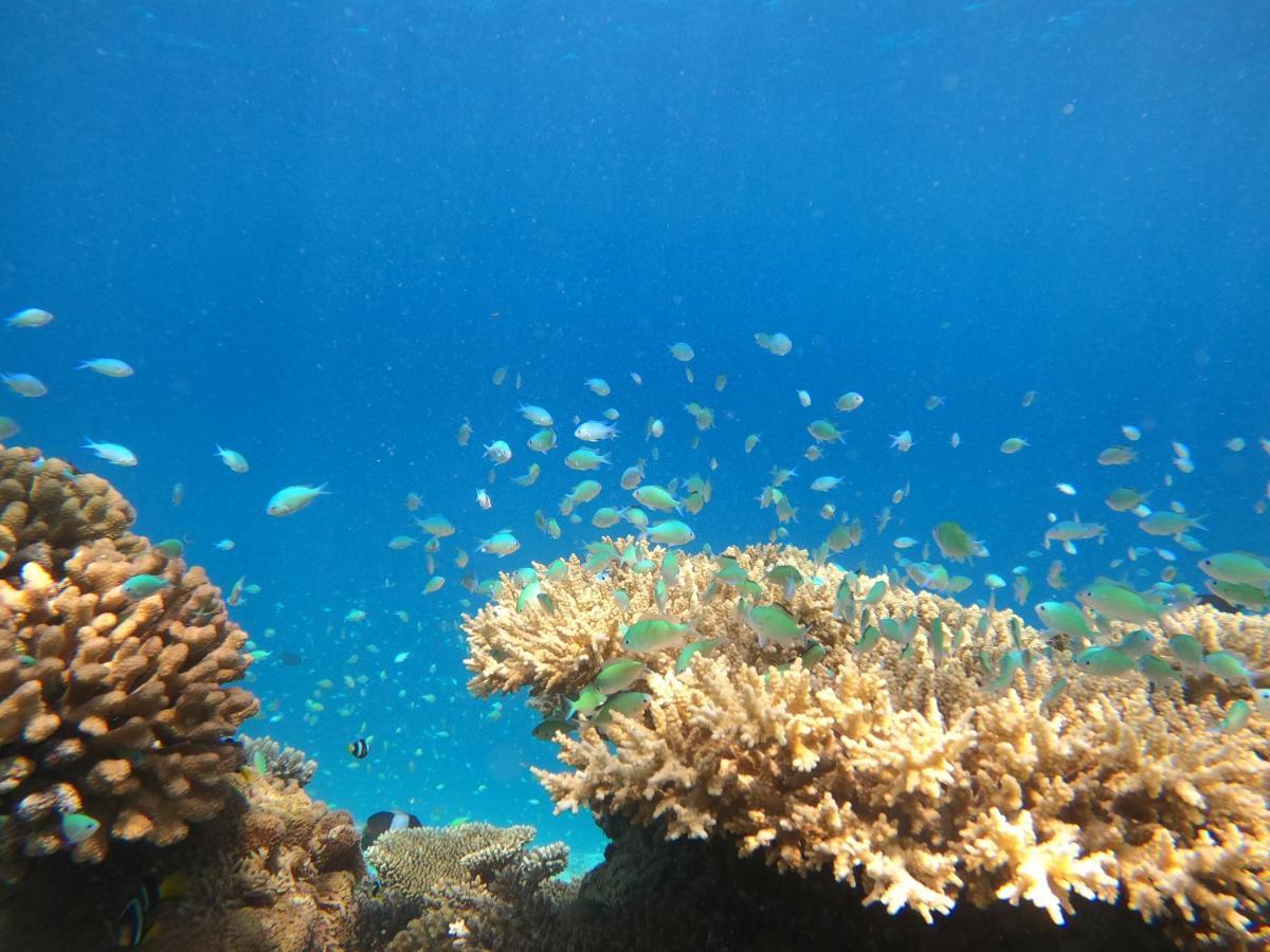 Crystal Sands Maafushi Zewnętrze zdjęcie