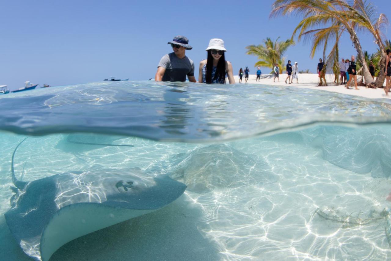 Crystal Sands Maafushi Zewnętrze zdjęcie