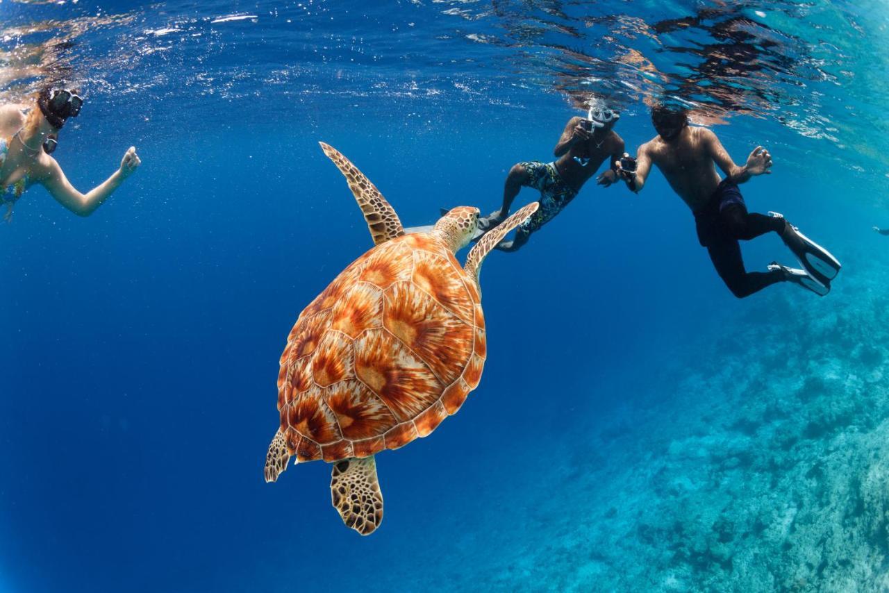 Crystal Sands Maafushi Zewnętrze zdjęcie